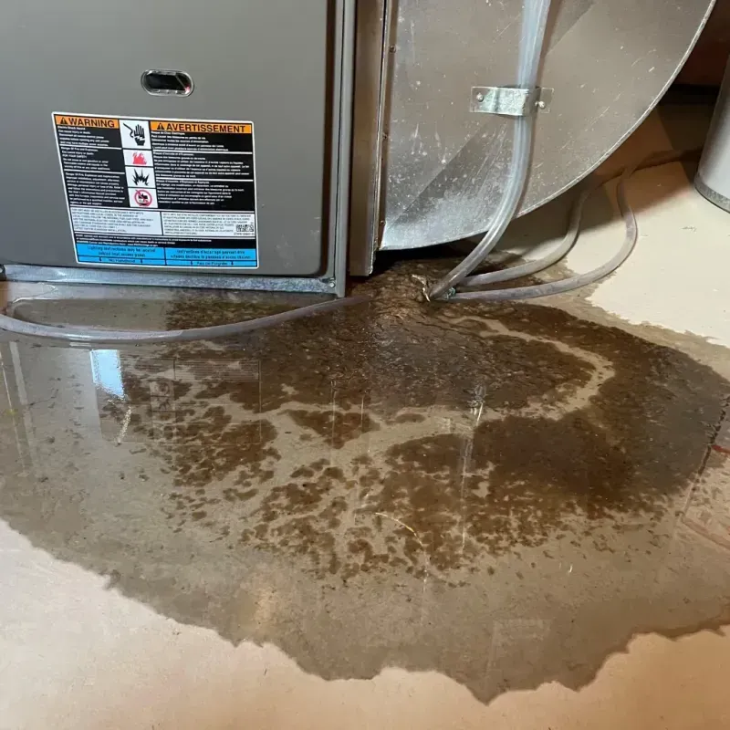 Appliance Leak Cleanup in Hillside Lake, NY